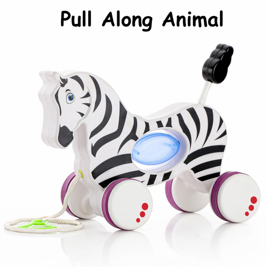 Kids Plastic Zebra Pull Along Toy